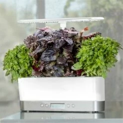 AeroGarden Harvest Elite Slim, White Stainless