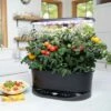AeroGarden Bounty Basic, Black -Cheap Planters Store unnamed file 1009