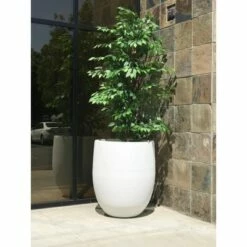 Rosemead Home & Garden, Inc. 21.7" Lightweight Concrete Outdoor Bowl Planter Pure White - Rosemead Home & Garden, Inc. 13 Rosemead Home & Garden, Inc. 21.7" Lightweight Concrete Outdoor Bowl Planter Pure White - Rosemead Home & Garden, Inc. -Cheap Planters Store unnamed file 1147