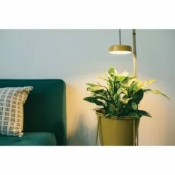 Cheap Planters Store -Cheap Planters Store unnamed file 1229