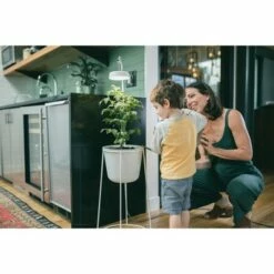 Modern Sprout Uplift Planter - Planter + Stand + Grow Light -Cheap Planters Store unnamed file 1231