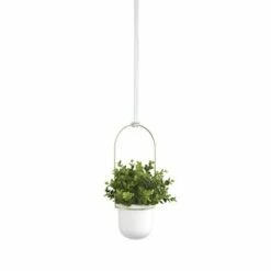 Triflora Hanging Planter White/Brass - Umbra -Cheap Planters Store unnamed file 1252