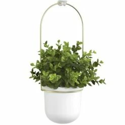 Triflora Hanging Planter White/Brass - Umbra -Cheap Planters Store unnamed file 1253