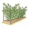 Gardener's Supply Company Raised Garden Bed, Raspberry Bed Kit - GARDENER'S SUPPLY CO.