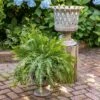 Park Hill Collection Woven Metal Classic Urn -Cheap Planters Store unnamed file 1343