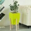 Uniquewise -Cheap Planters Store unnamed file 1360