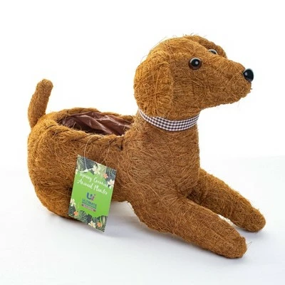 Coir Planter - Ultimate Innovations 14 Coir Planter - Ultimate Innovations - Image 12