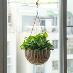 Gardenised 10" Self Watering Bronze Hanging Basket Flower Planter -Cheap Planters Store unnamed file 1440