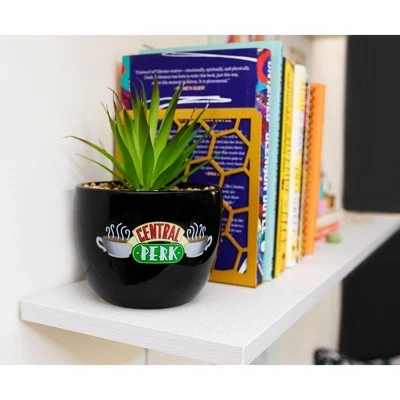 Silver Buffalo Friends Central Perk Logo Large 7.75 x 4.75 Inch Ceramic Planter 6 Silver Buffalo Friends Central Perk Logo Large 7.75 x 4.75 Inch Ceramic Planter - Image 4