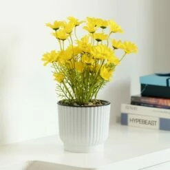 Gardenised White Flower Pot Self Watering Planter, 6 Pack