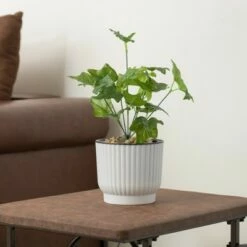 Gardenised White Flower Pot Self Watering Planter, 6 Pack -Cheap Planters Store unnamed file 1467