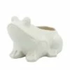Sagebrook Home 7" Frog Ceramic Planter White -Cheap Planters Store unnamed file 1473