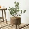 Vintiquewise Wooden Stump Tree Log with Bark Planter Pot with Small Tree Branch Legs -Cheap Planters Store unnamed file 1562