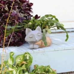 Sunnydaze Decor Sunnydaze Finley the Fox Planter Statue - Indoor/Indoor Decorative Figurine - 12" -Cheap Planters Store unnamed file 1570