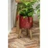 Evergreen Metal Dog Planter With Wooden Stand 2 Evergreen Metal Dog Planter With Wooden Stand -Cheap Planters Store unnamed file 1614