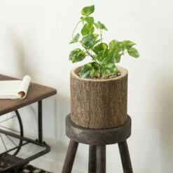 Vintiquewise Wooden Stump Tree Branch with Bark Succulent Planter Pot Flower Shelf -Cheap Planters Store unnamed file 1629