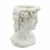Sagebrook Home Greek God Head Resin Planter Antique White 1 Sagebrook Home Greek God Head Resin Planter Antique White -Cheap Planters Store unnamed file 1643
