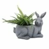 Sagebrook Home 11" Resin Sitting Bunny Planter Gray -Cheap Planters Store unnamed file 1677
