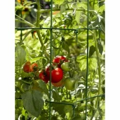 Lifetime Tomato Cages, Heavy Gauge Garden Plant Support, Set of 4, 32" H Installed, Easy Fold for Storage - Gardener's Supply Company 8 Lifetime Tomato Cages, Heavy Gauge Garden Plant Support, Set of 4, 32" H Installed, Easy Fold for Storage - Gardener's Supply Company -Cheap Planters Store unnamed file 1751