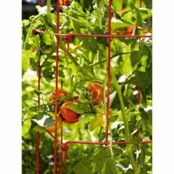 Square Heavy Gauge Extra Tall Easy Fold Tomato Cage, 14.25" x 14.25" x 65", Set of 2 - Gardener's Supply Company