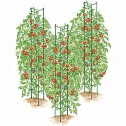 Green Tomato Ladders, Set of 3 - Gardener's Supply Company