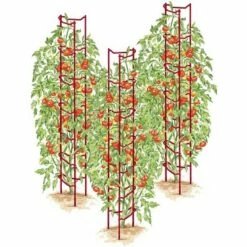 Green Tomato Ladders, Set of 3 - Gardener's Supply Company -Cheap Planters Store unnamed file 1766