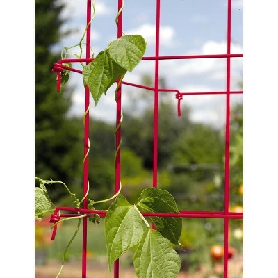 Bean Tower Vegetable Support, Heavy Gauge Trellis 65" Tall - Gardener's Supply Company 4 Bean Tower Vegetable Support, Heavy Gauge Trellis 65" Tall - Gardener's Supply Company - Image 2
