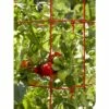 Square Tomato Cage, Single - Gardener's Supply Company -Cheap Planters Store unnamed file 1772