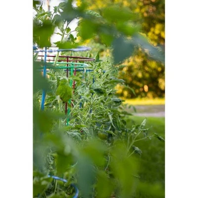 60" 5pk Plant Support Light Green - Glamos 4 60" 5pk Plant Support Light Green - Glamos - Image 2