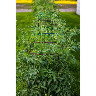 60" 5pk Plant Support Light Green - Glamos 5 60" 5pk Plant Support Light Green - Glamos - Image 3