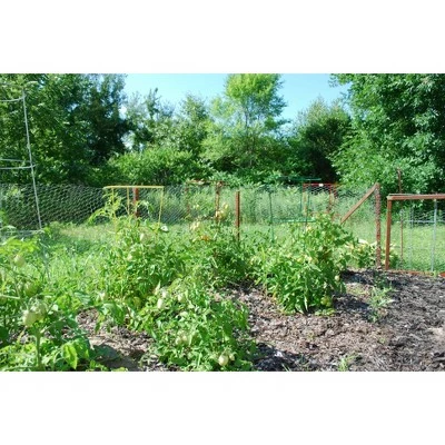 5pk Gemz Heavy Duty Plant Support Combo - Glamos 3 5pk Gemz Heavy Duty Plant Support Combo - Glamos - Image 2