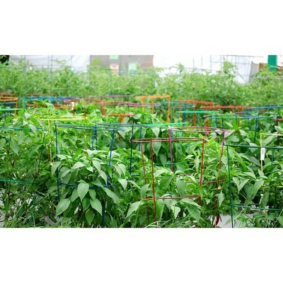 5pk Gemz Heavy Duty Plant Support Combo - Glamos 4 5pk Gemz Heavy Duty Plant Support Combo - Glamos - Image 3