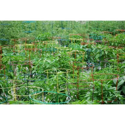 5pk Gemz Heavy Duty Plant Support Combo - Glamos 5 5pk Gemz Heavy Duty Plant Support Combo - Glamos - Image 4