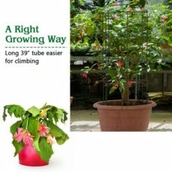 Costway 4 Pack Tomato Cages Garden Cages Stakes Plant Trellis 16'' x 16'' x 39'' -Cheap Planters Store unnamed file 1809