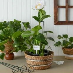 Farmlyn Creek Set of 124 Pcs Green Metal Garden Plant Support Stakes with White Labels and Stickers for Patio & Outdoor, 15.75 x 2.5 in.