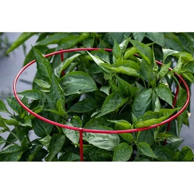 16"x54" Metal Heavy Duty Plant 5pk - Red - Glamos Wire 5 16"x54" Metal Heavy Duty Plant 5pk - Red - Glamos Wire - Image 3