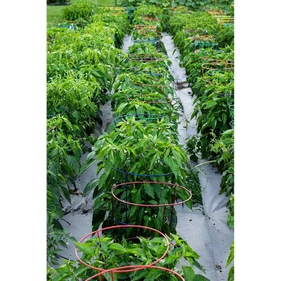 16"x54" Metal Heavy Duty Plant 5pk - Red - Glamos Wire 6 16"x54" Metal Heavy Duty Plant 5pk - Red - Glamos Wire - Image 4