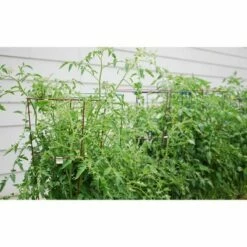 5pk Bright Heavy Duty Plant Support Combo - Glamos