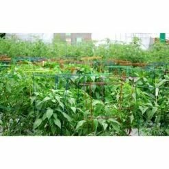 5pk Bright Heavy Duty Plant Support Combo - Glamos -Cheap Planters Store unnamed file 1833