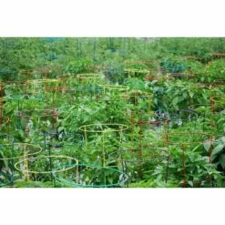 5pk Bright Heavy Duty Plant Support Combo - Glamos -Cheap Planters Store unnamed file 1834