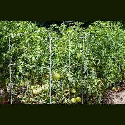 16" x 42" Heavy Duty Square Plant Support 5pk - Galvanized - Glamos Wire 4 16" x 42" Heavy Duty Square Plant Support 5pk - Galvanized - Glamos Wire - Image 2