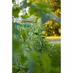 60" 5pk Gemz Heavy Duty Plant Support Ruby Red - Glamos -Cheap Planters Store unnamed file 1843