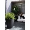 Dot Planter - Crescent Garden Black -Cheap Planters Store unnamed file 1850