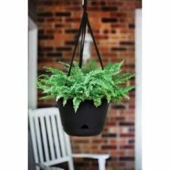 Lucca Self Watering Hanging Basket - Bloem Black -Cheap Planters Store unnamed file 1862