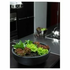Orinoco Bowl Planter - Crescent Garden Black