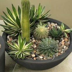 Delano Planter - Crescent Garden Golden Bronze