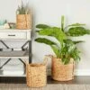Olivia & May Set of 3 Seagrass Wicker Basket Planters with Handles Natural - Olivia & May -Cheap Planters Store unnamed file 1906