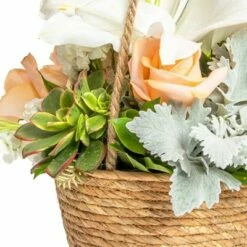 Farmlyn Creek Rope Hanging Planter, Woven Ceiling Plant Basket Hanger, 8 x 8 x 6" -Cheap Planters Store unnamed file 1927