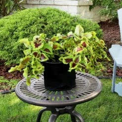 Sunnydaze Decor Sunnydaze 3-Gallon Garden Grow Bag with Handles Non-Woven Polypropylene Fabric, Black