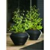 Daniel Planter - Crescent Garden Desert -Cheap Planters Store unnamed file 2088